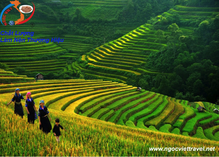 TOUR HÀ NỘI – SAPA – FANSIPAN 4 Ngày 3 Đêm