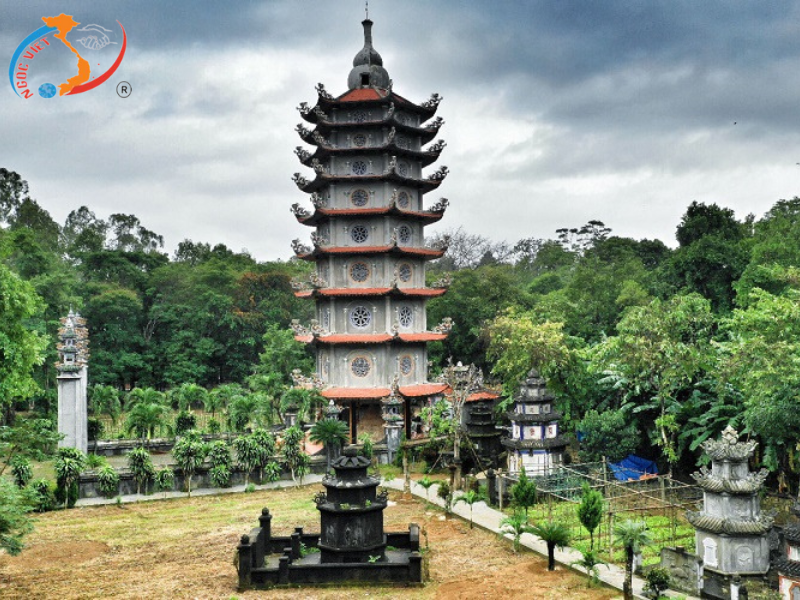 TOUR QUẢNG NGÃI - LÝ SƠN 3 Ngày 2 Đêm