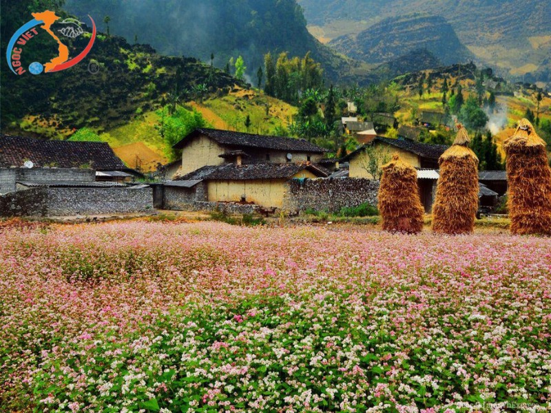 CAO BẰNG - BẮC CẠN - HÀ GIANG