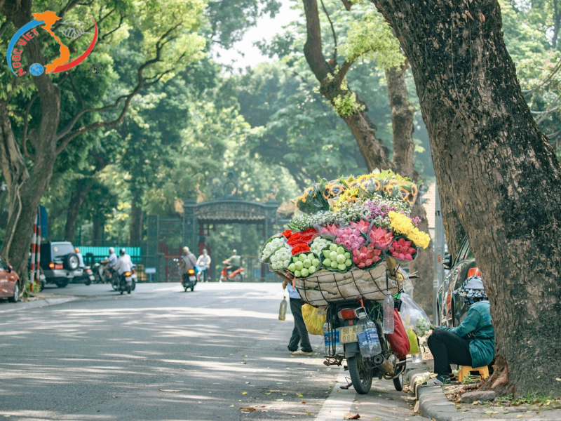 HÀ NỘI – NINH BÌNH – HẠ LONG – YÊN TỬ