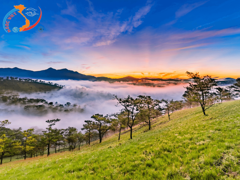 TOUR ĐÀ LẠT TRỌN GÓI 4 NGÀY 3 ĐÊM - KHÁM PHÁ THÀNH PHỐ SƯƠNG MÙ