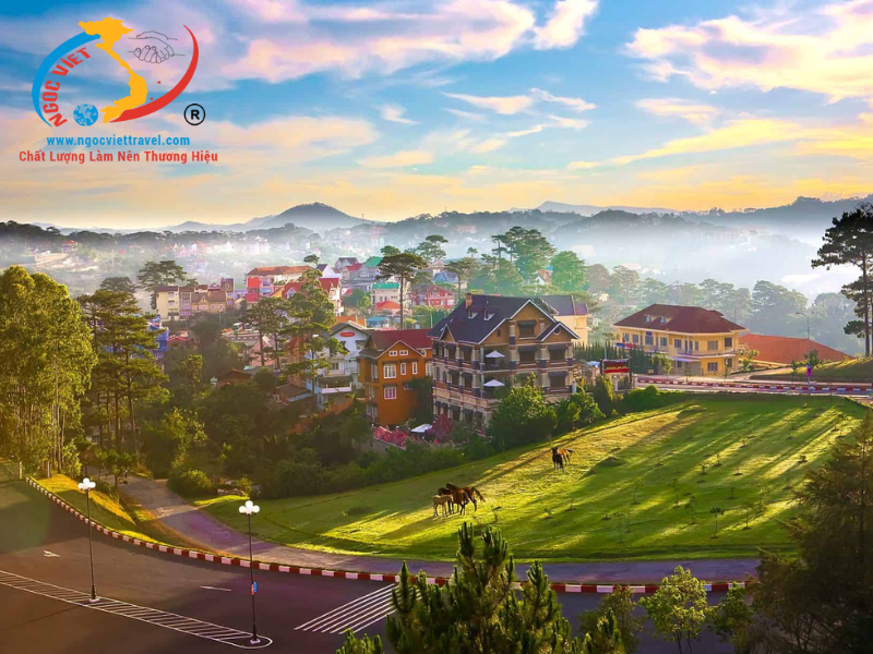 TOUR ĐÀ LẠT 3 NGÀY - NÔNG TRẠI CÚN PUPPYFARM - CAO NGUYÊN HOA ĐÀ LẠT - SAMTEN HILLS