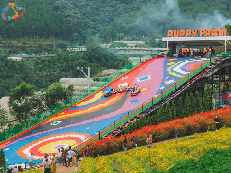 TOUR ĐÀ LẠT - THÀNH PHỐ NGÀN HOA - BESTSELLER THÁNG 10-11-12