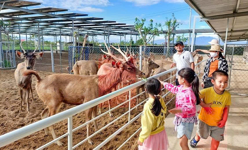 TOUR NINH CHỮ - VĨNH HY - HANG RÁI - TIÊN TIẾN FARM & ZOO-2 NGÀY 2 ĐÊM + TEAM BUILDING & GALA